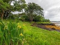 Isle of Skye, Dunvegan Castle & Gardens